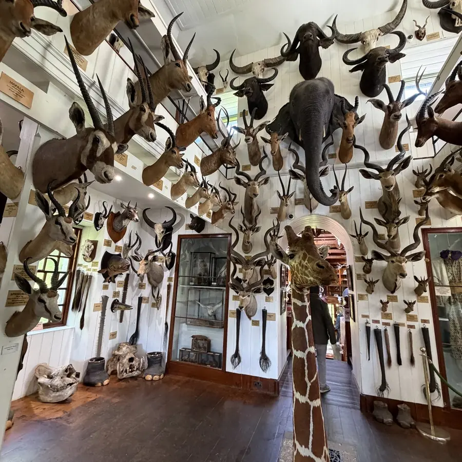 A hall lined with mounted animal heads on the walls and ceiling